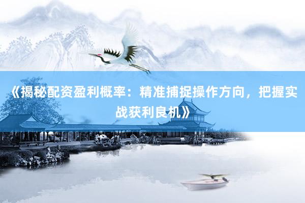 《揭秘配资盈利概率：精准捕捉操作方向，把握实战获利良机》