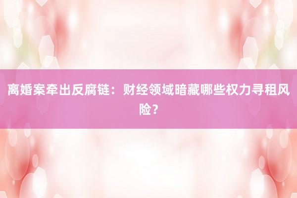 离婚案牵出反腐链：财经领域暗藏哪些权力寻租风险？