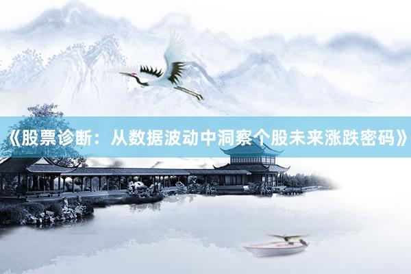 《股票诊断：从数据波动中洞察个股未来涨跌密码》