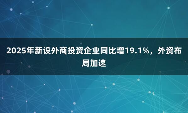 2025年新设外商投资企业同比增19.1%，外资布局加速