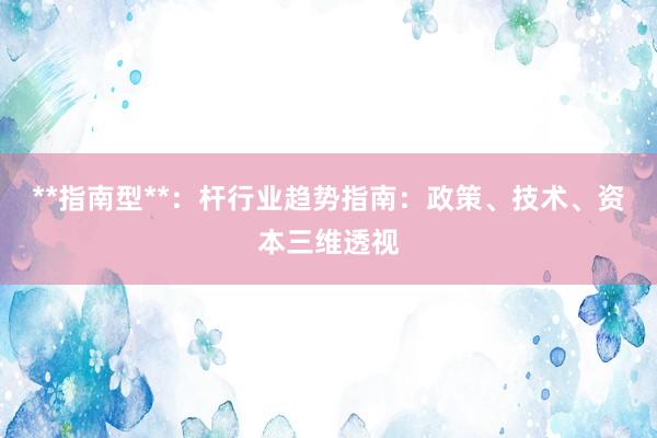 **指南型**：杆行业趋势指南：政策、技术、资本三维透视