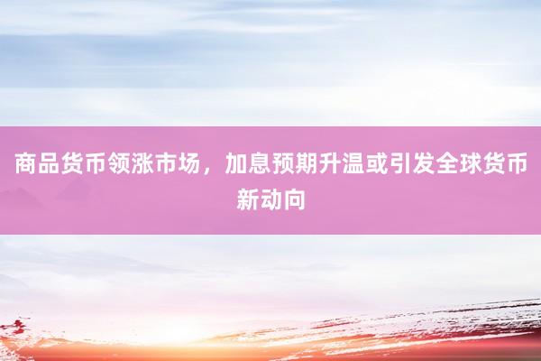 商品货币领涨市场，加息预期升温或引发全球货币新动向