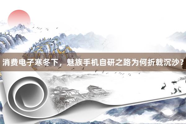 消费电子寒冬下，魅族手机自研之路为何折戟沉沙？