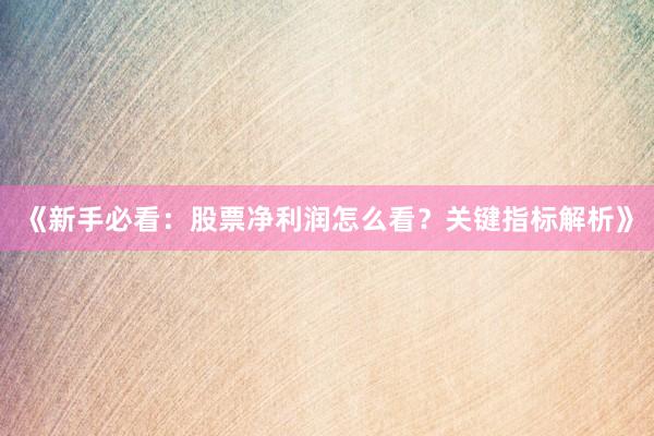 《新手必看：股票净利润怎么看？关键指标解析》