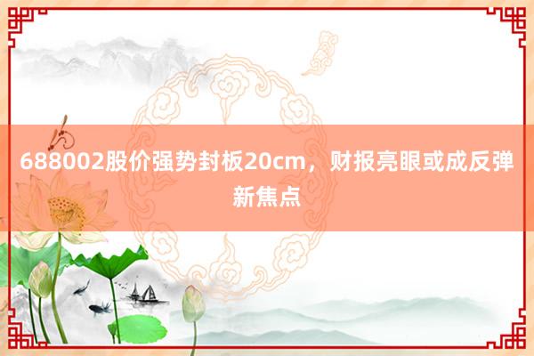 688002股价强势封板20cm，财报亮眼或成反弹新焦点