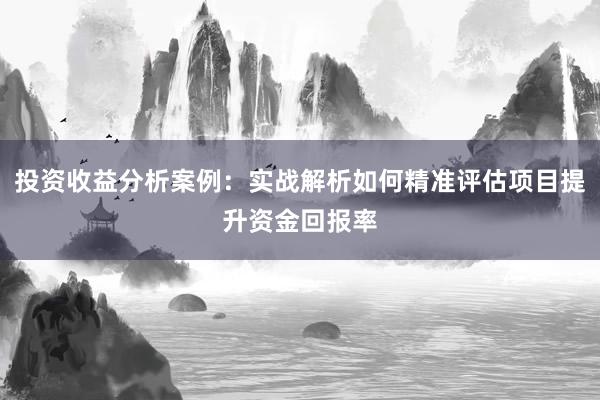 投资收益分析案例：实战解析如何精准评估项目提升资金回报率
