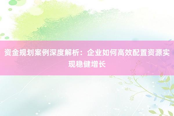 资金规划案例深度解析：企业如何高效配置资源实现稳健增长