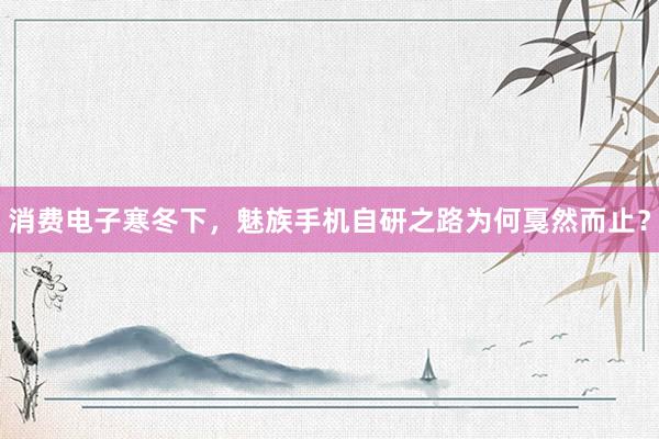 消费电子寒冬下，魅族手机自研之路为何戛然而止？