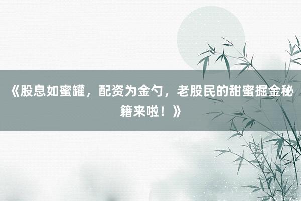 《股息如蜜罐，配资为金勺，老股民的甜蜜掘金秘籍来啦！》