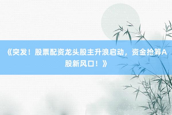 《突发！股票配资龙头股主升浪启动，资金抢筹A股新风口！》