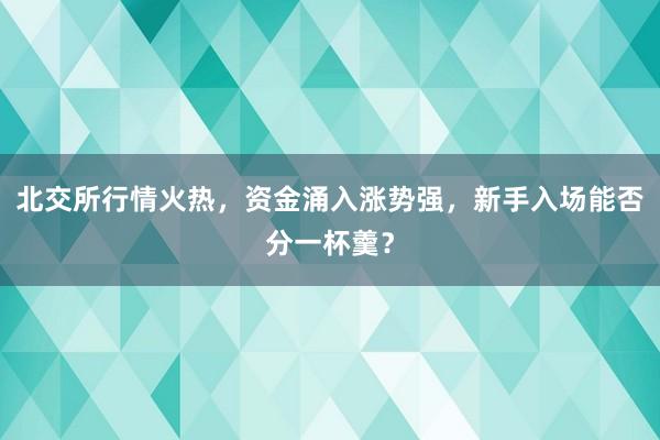 北交所行情火热，资金涌入涨势强，新手入场能否分一杯羹？