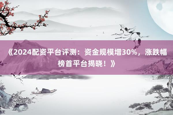 《2024配资平台评测：资金规模增30%，涨跌幅榜首平台揭晓！》