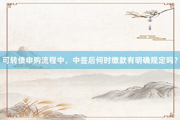 可转债申购流程中，中签后何时缴款有明确规定吗？