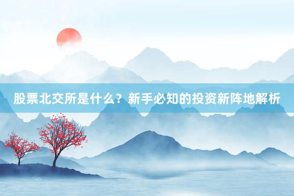 股票北交所是什么？新手必知的投资新阵地解析