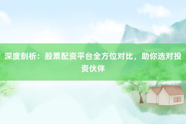 深度剖析：股票配资平台全方位对比，助你选对投资伙伴