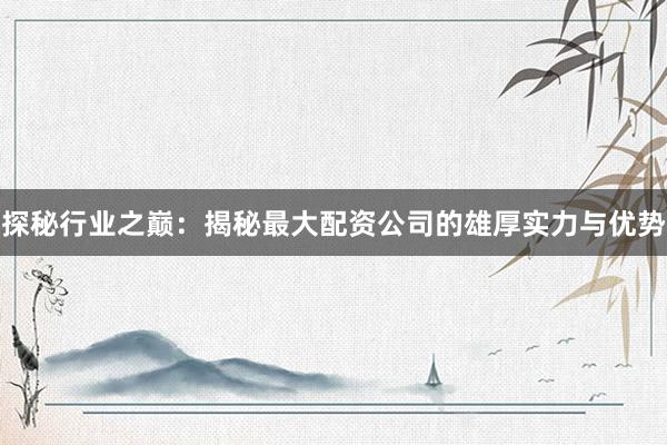 探秘行业之巅：揭秘最大配资公司的雄厚实力与优势